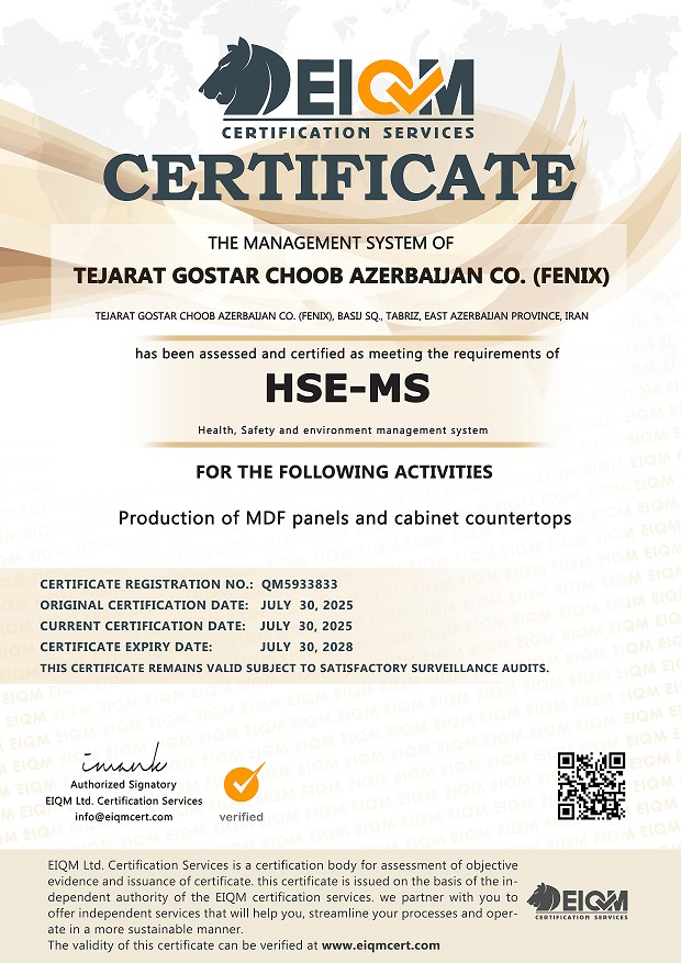 ISO HSE